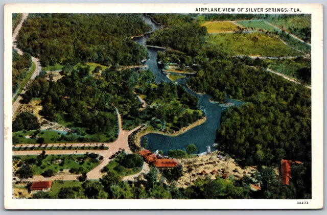 Vtg Silver Springs Florida FL Airplane Aerial View 1920s Postcard