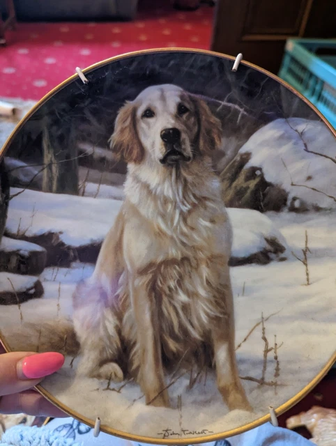 Golden retriever deals collector plates
