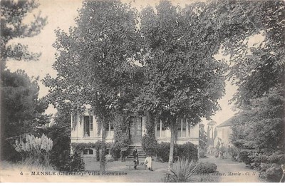 16.MANSLE.n°19.RUE MARTIN.RESTAURANT DU MARCHE ISMONT.MERCERIE E BERGER.RARE 