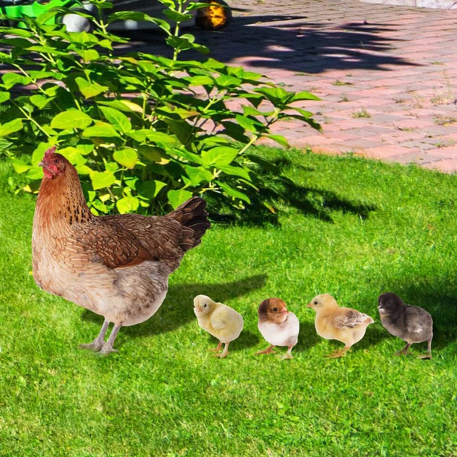 Decorazione Giardino Gallina In Ceramica Fatta A Mano - Statuetta Pollo Per Esterni E Interni - 4