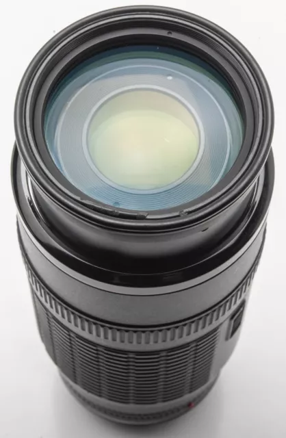 Canon Zoom Lens EF 100-300mm 5.6 L Telezoomobjektiv - EOS Digital