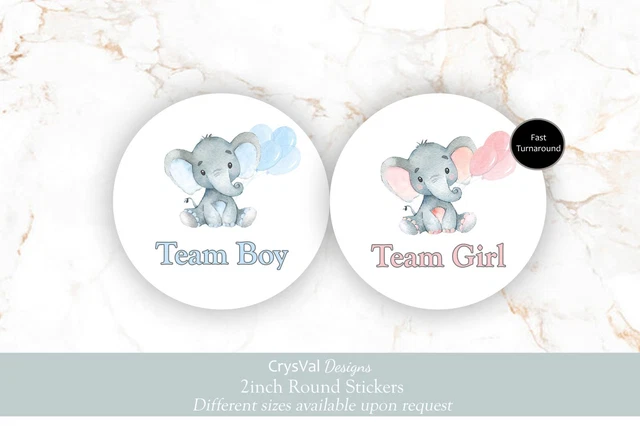Gender Reveal Party Stickers, Gender Reveal Stickers, Team Boy Team Girl