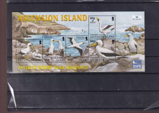 4695/ Ascension Island Block ** Mnh Vogel Fauna