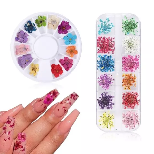 1 Set Femme Naturel Floral Art Ongles Décorations Mixte Couleur Décalque Bijoux