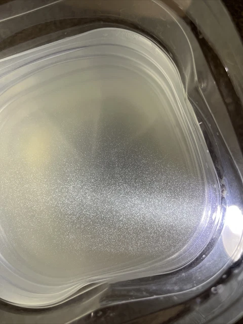 3oz+  Infusoria - Paramecium - live fish food, live Betta fish baby food