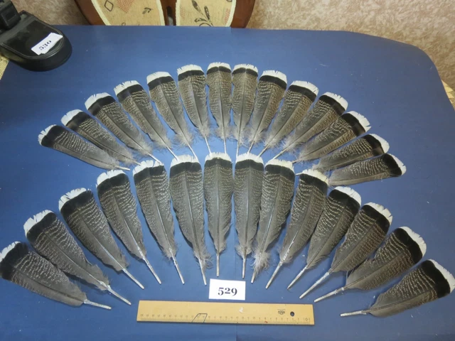 28 piezas plumas de cola de pavo de bronce, atar moscas, peces de agua salada, plumas de sombrero (529)