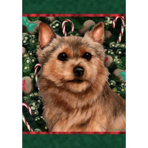 Christmas Holiday Garden Flag - Norwich Terrier 141521