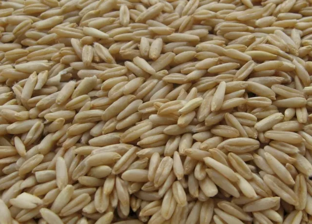 Oat Groats