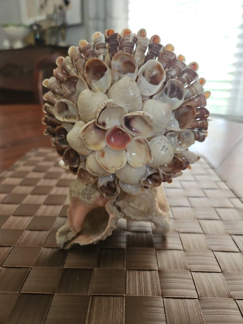 Vintage Sea Shell Art Napkin Holder / Letter Holder  Maritime Island Folk Art