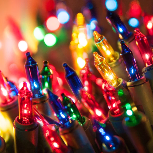 25' Christmas Mini Lights 50 Indoor-Outdoor Patio Bedroom String Lights, 8 Color