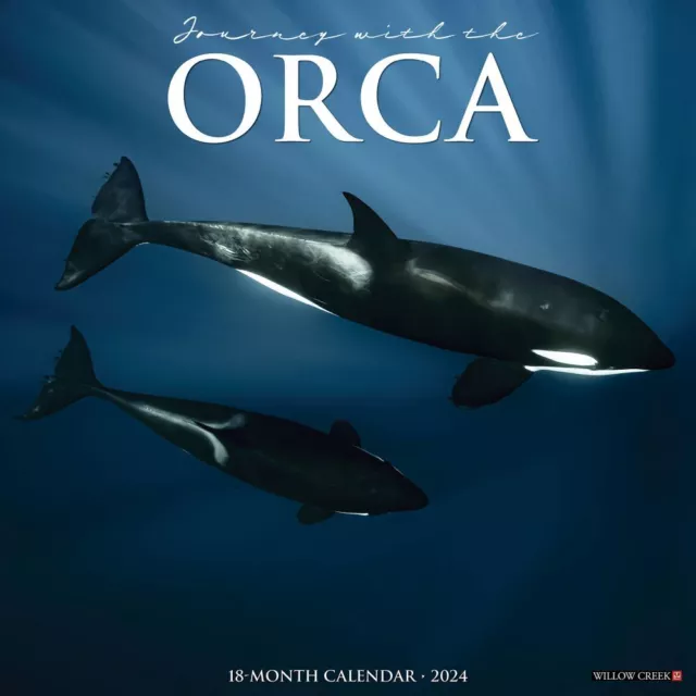 Willow Creek Press,  Orcas 2024 Wall Calendar