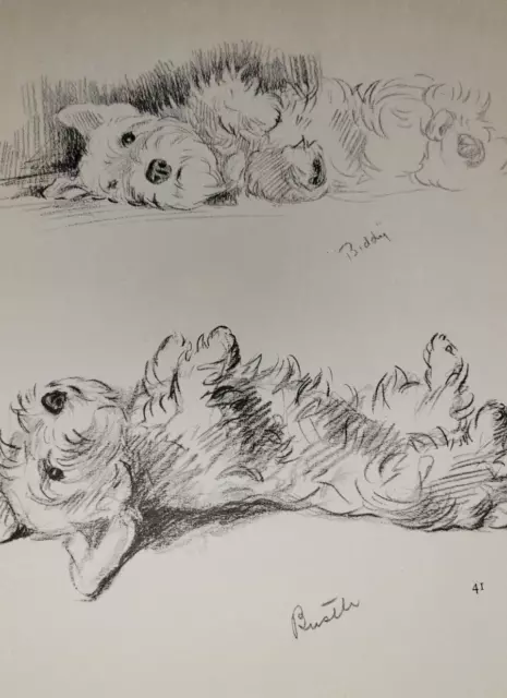 Bustle & Biddy Sealyham Terrier Dog Drawing by Lucy Mac Dawson Print 1940s