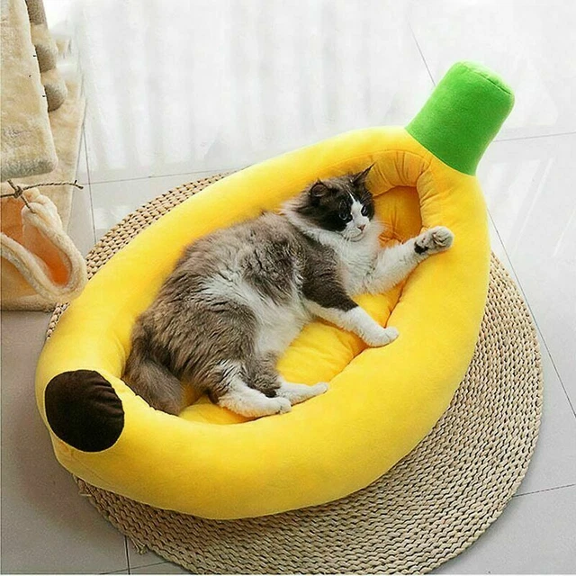 Dog Bed Pet Cat Bed Dog Breathable Sofa for Small Medium Dogs Super Soft Plush