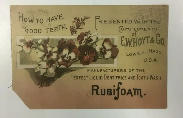 Rubifoam E W Hoyt & Co How To Have Good Teeth Booklet Lowell Mass Usa 1880s