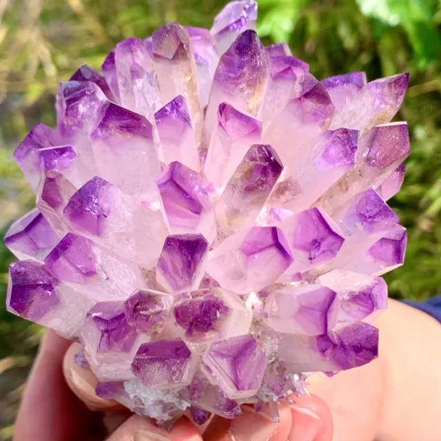 399G  New Find Purple Phantom Quartz Crystal Cluster Mineral Specimen
