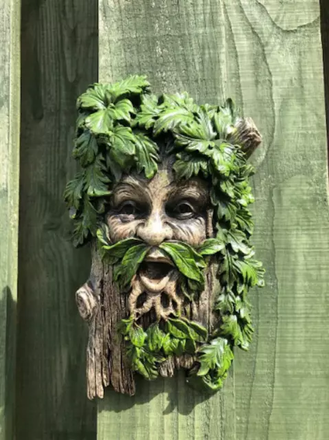 Greenman Garden Wall Plaque Decorative Ornament Green Man New & Boxed 23cm