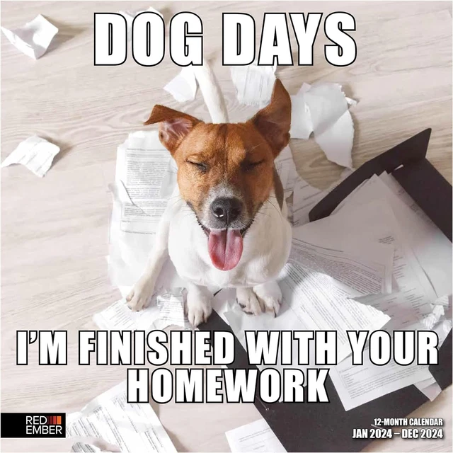 RED EMBER DOG Days 2024 Hangable Monthly Wall Calendar 12" x 24" Open