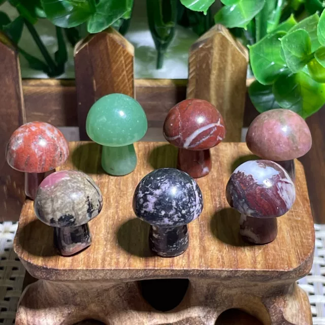 7pcs  Natural mushroom various Quartz Crystal Carved Reiki healing decor A1599
