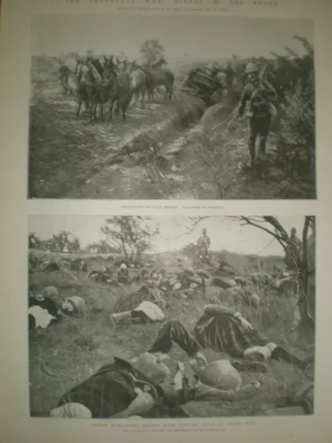 Transvaal Boer War scenes at the front 1899 print ref AO