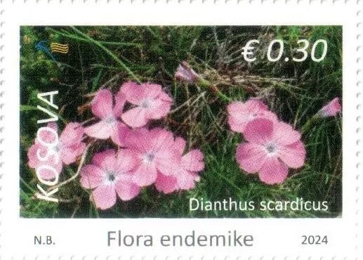 Kosovo Stamps 2024. Flora: Dianthus scardicus. Definitive stamps 0.30 MNH