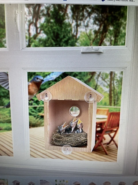 My Spy Birdhouse - As Seen On TV - Peek Into the World of Birds
