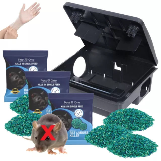 PROFESSIONAL Rodent Rat Box Station & STRONGEST POISON Single Feed Grain Bait***