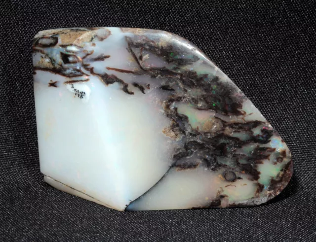 Precious Stable Opal Wood from Virgin Valley Nevada - 63.9 ct - opalized 3