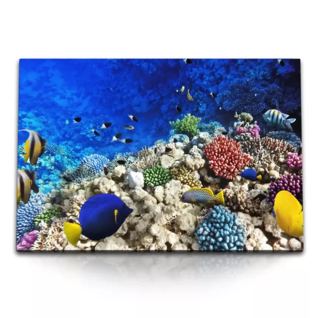 120x80cm Wandbild auf Leinwand Unterwasserfotografie Korallenriff Korallen bunte