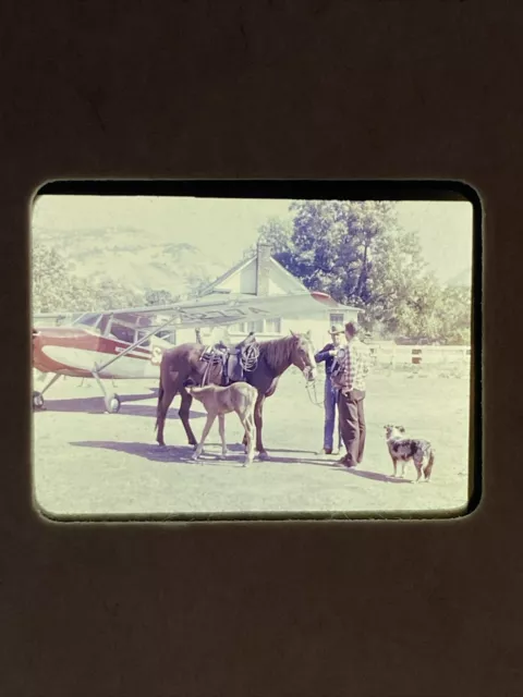 (5) Wonder Valley Dude Ranch Half Frame 35mm Slides Plane Station Wagon Horse 2