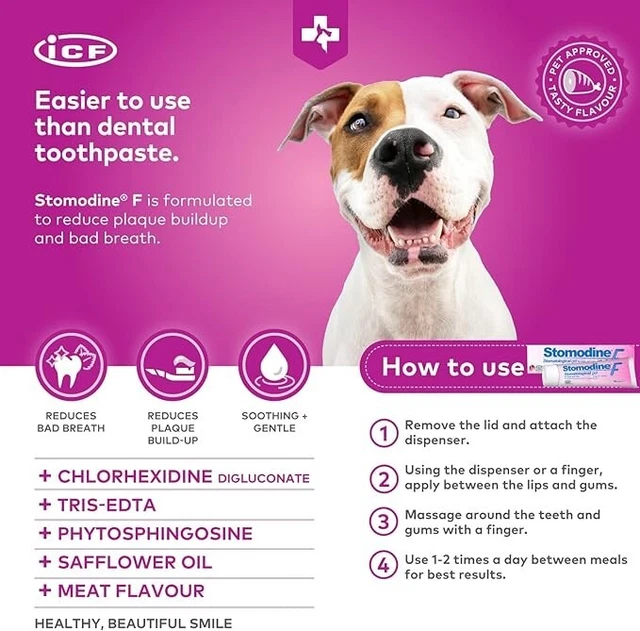 Stomodine F | Oral Care | Cat & Dog Toothpaste | Plaque & Tartar Removal - 30ml