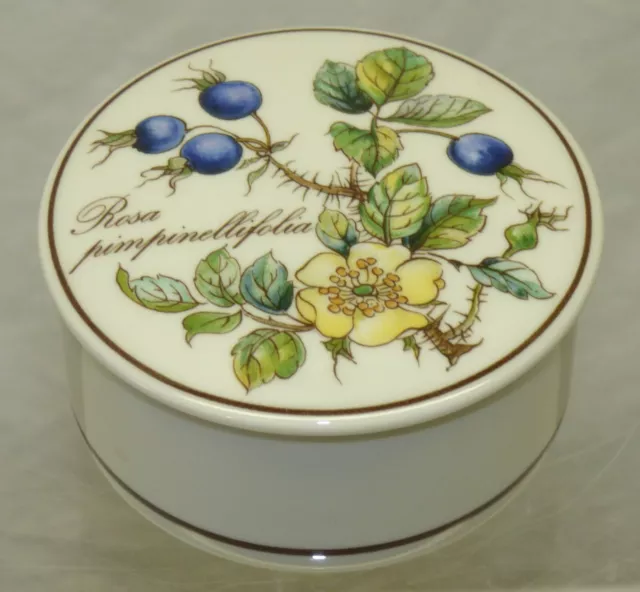 Villeroy & Boch Botanica Round Trinket Box w/ Lid Burnet Scotch Rose Vintage V&B