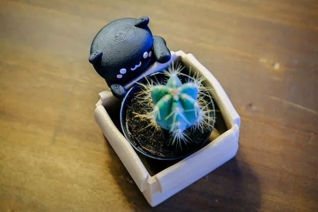 Kawaii Cat Cute with a Planter Box Pot 3