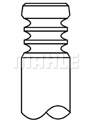 Mahle Original (029 VE 30528 000) Einlassventil Einlassseite für AUDI SEAT