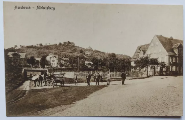 AK Hersbruck Michelsberg ca. 1910er (V)