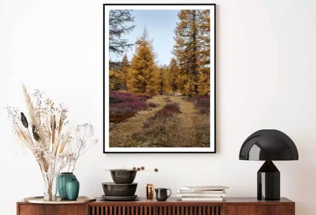 Forest Trees Covered Dry Leaves Print Premium Poster High Quality choose sizes