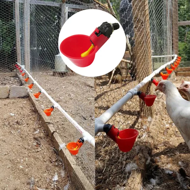 Poule Bol à Eau Buveur Tasse Ferme Volaille Mangeoire Oiseau Nous .