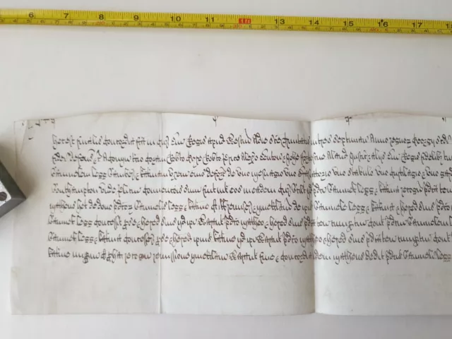 Antique Vellum Document Handwritten Manuscript Latin ?