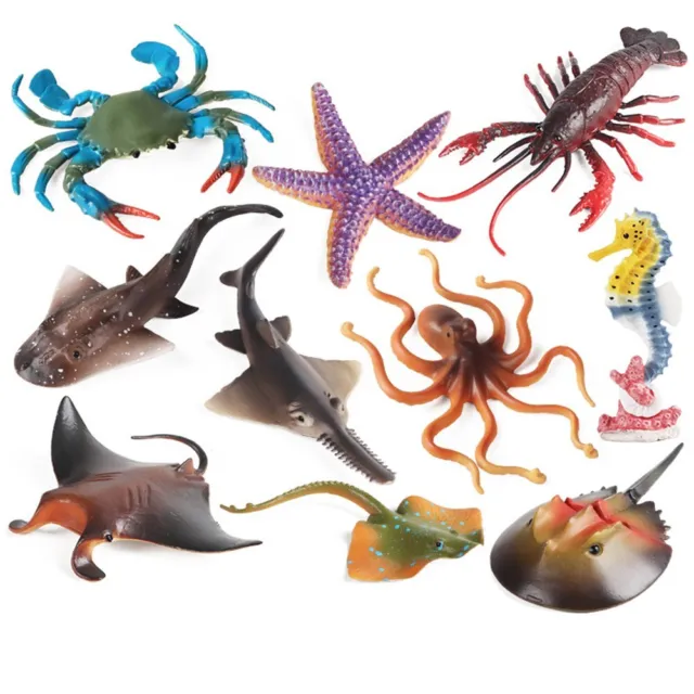 Meerestier Modell Spielzeug Marine Tiere Figuren Simuliertes Meerestier Bildung