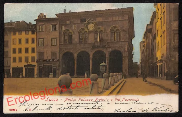 ag6161 - CARTOLINA D'EPOCA - Lucca Città - Antico Palazzo Pretorio