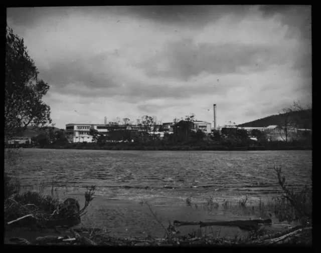 Magic Lantern Slide PAPER MILLS DERWENT TASMANIA C1949 PHOTO AUSTRALIA