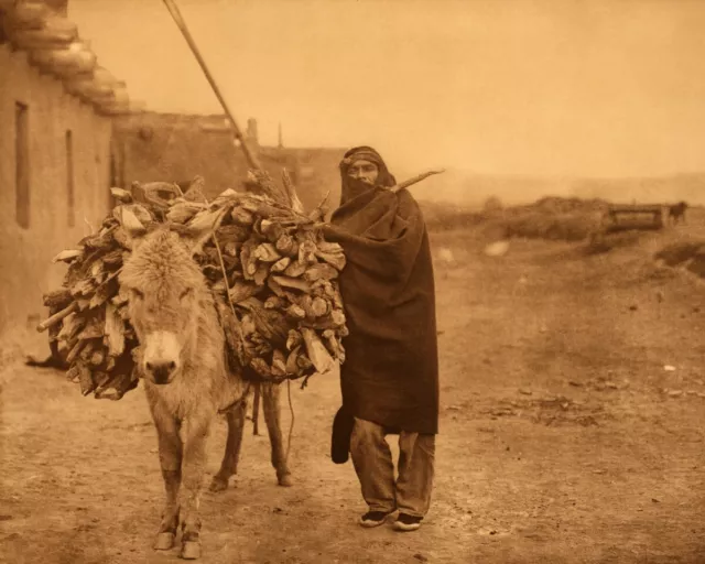 Edward Curtis - Load of Fuel Donkey Zuni Indian 1903 - 17" x 22" Fine Art Print