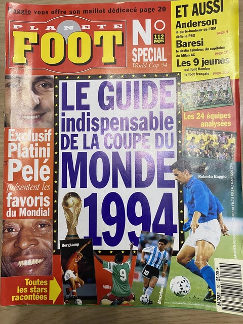 Fanion Vintage Coupe Du Monde 1994 – Équipe De France Vs Autriche – Pennant Finlande