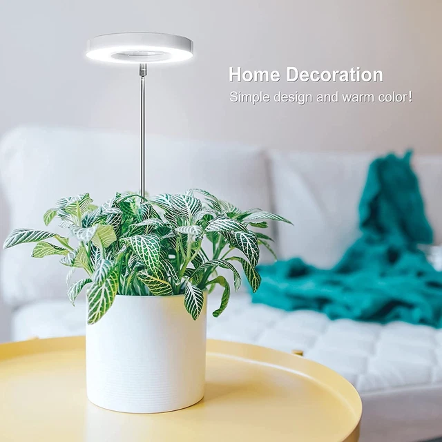 Lampada Da Lettura LED A Spettro Completo Con Clip – 3 Colori (Ambra 1600K / Bianco 6500K / Naturale), 8 LED, Ricaricabile USB-C, Batteria 1000mAh, 30+ Ore