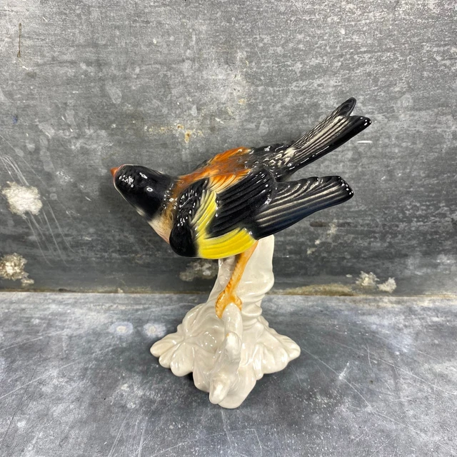 Oiseau en porcelaine de Goebel, céramique allemande, début XXème 3
