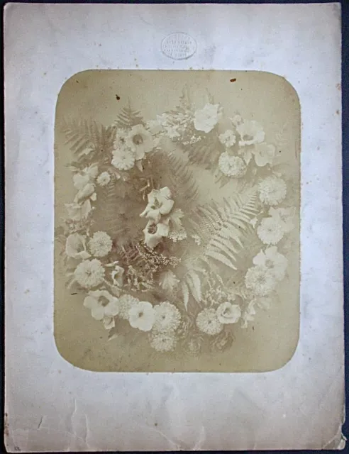 Adolphe BRAUN, Vintage Albumin Fotografie um 1850, Blumenarrangement 2