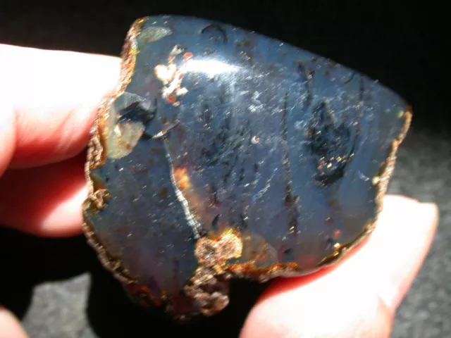 Beautiful Deep BLUE AMBER Fossil Gemstone LARGE 28 gram Piece
