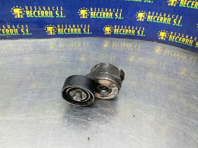 galet tendeur pour PEUGEOT 407 1.6 HDI 110 2004 1200043