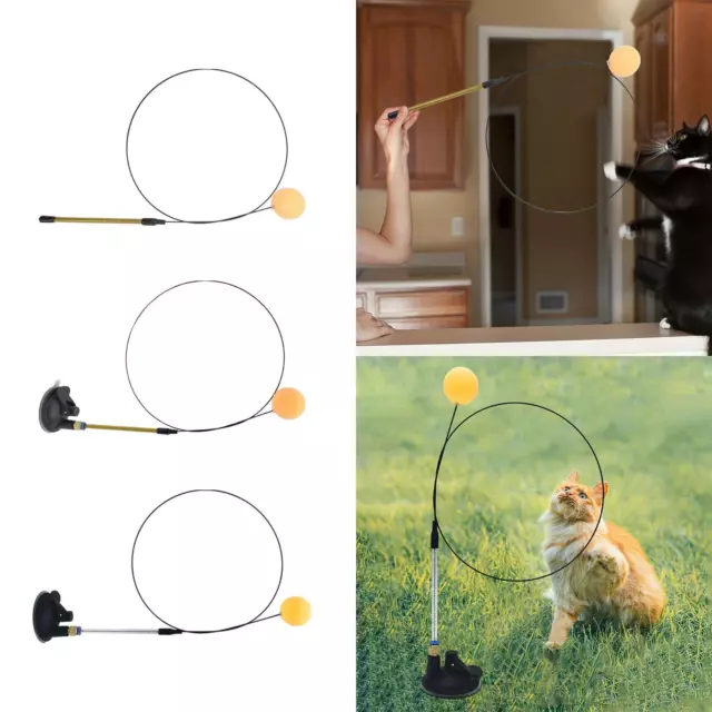 Cat Wand Toy Ball Cat Teaser Cats Catcher Exerciser Pet Supplies Interaktives