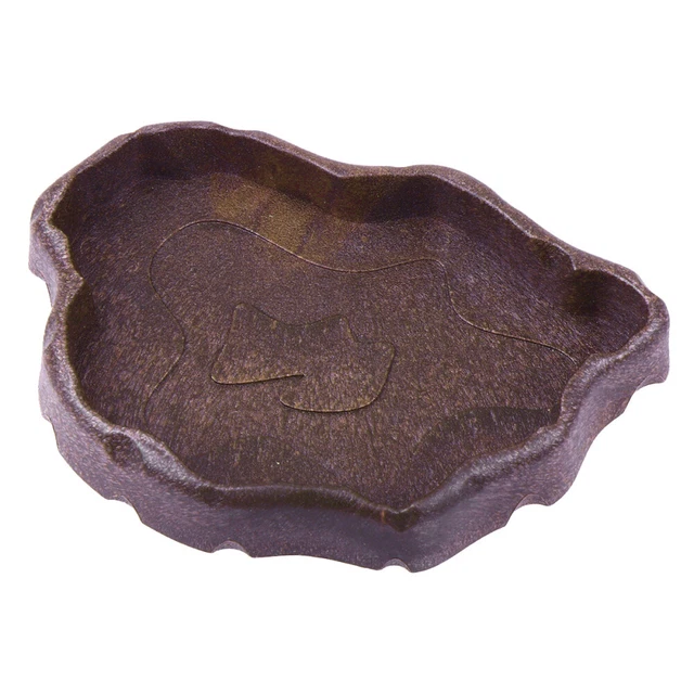 Bassin De Baignade Pour Tortues Avec Rampe - Piscine Reptiles, Habitat Amphibien, Baignoire De Trempage