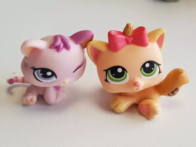 Littlest Pet Shop LOT CHATONS #270 1481 1074 1371 1336   -LOT n°49 2